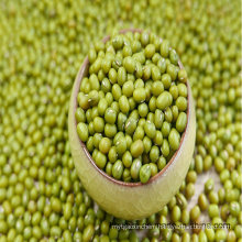 Green Mung Bean 2016 Crop Supply Different Size